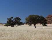 2018 Nambia 0588