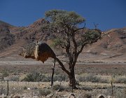 2018 Nambia 0609