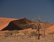 2018 Nambia 0769