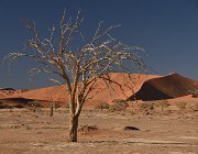 2018 Nambia 0771