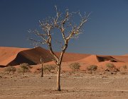 2018 Nambia 0787