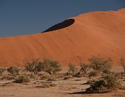 2018 Nambia 0791