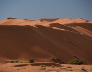 2018 Nambia 0818