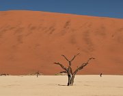 2018 Nambia 0884