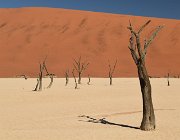 2018 Nambia 0893