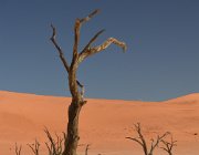 2018 Nambia 0898