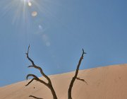 2018 Nambia 0905