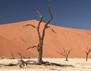 2018 Nambia 0907