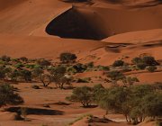 2018 Nambia 0950