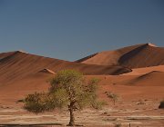 2018 Nambia 0977
