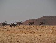 2018 Nambia 1625