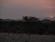 2018 Nambia 1647
