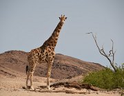 2018 Nambia 1676