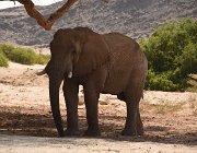 2018 Nambia 1696