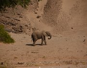 2018 Nambia 1708
