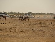 2018 Nambia 2121