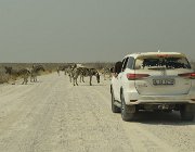 2018 Nambia 2169  Il solito traffico delle ore di punta !