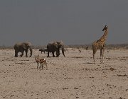 2018 Nambia 2251