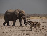 2018 Nambia 2258