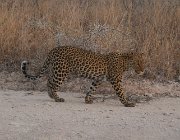 2018 Nambia 2396