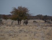 2018 Nambia 2414