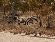 2018 Nambia 2523