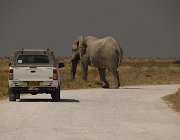 2018 Nambia 2595