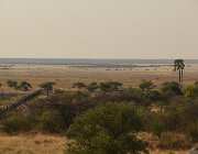 2018 Nambia 2637