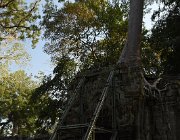 2019 2020 Cambogia 2012