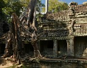 2019 2020 Cambogia 3335