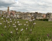 2019 Puglia 2611