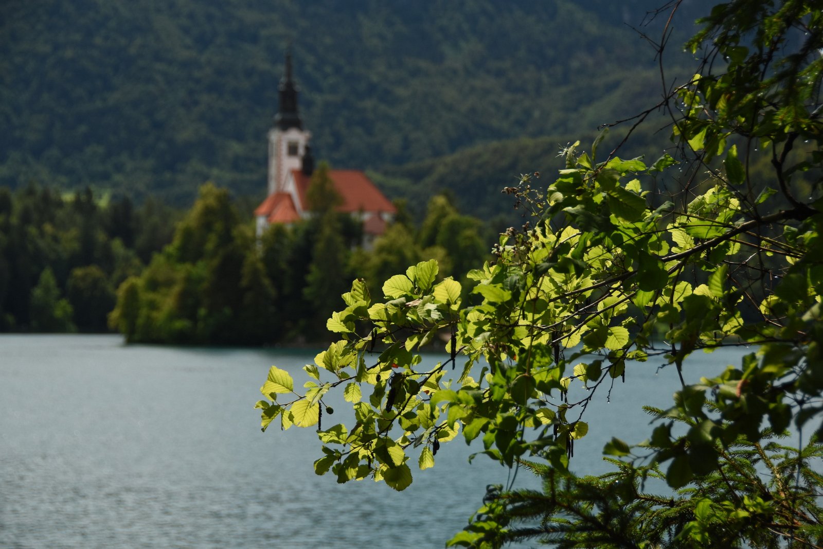 2020 Slovenia Croazia 0539