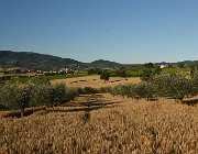 2020 Umbria 0631