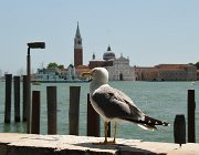 2020 Venezia 0135