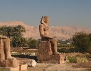 2022 2023 Egitto 1765  I Colossi di Memnone, raffiguranti il faraone Amenhotep III