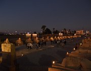 2022 2023 Egitto 2435  Il Viale delle Sfingi.
