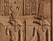 2022 2023 Egitto 4298  Horus e Sobek