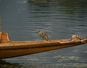 2022 Ladakh 0095