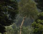 2022 Ladakh 0585