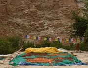 2022 Ladakh 1150