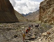 2022 Ladakh 1699