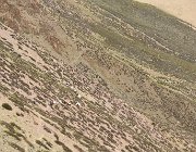 2022 Ladakh 1913
