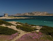 2022 Sardegna 0130