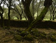 2022 Sardegna 0894
