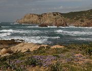 2022 Sardegna 1133