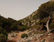 2022 Sardegna 1240