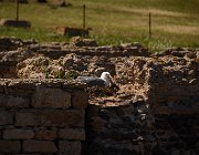 2022 Sardegna 1719