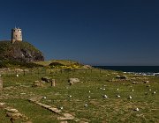 2022 Sardegna 1721