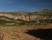 2022 Sardegna 2341