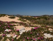 2022 Sardegna 2685